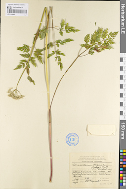 LE 01096492