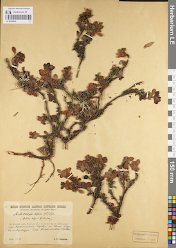 LE 01098029