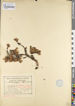 LE 01098034
