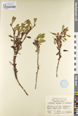 LE 01098043
