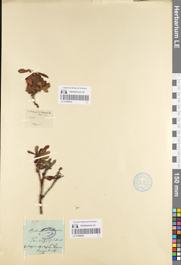 LE 01098055
