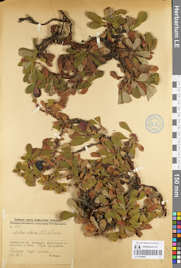 LE 01098060