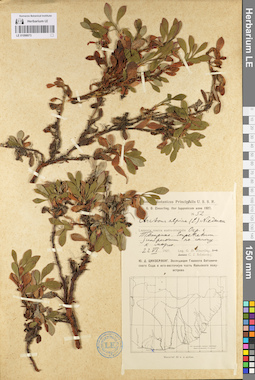 LE 01098073