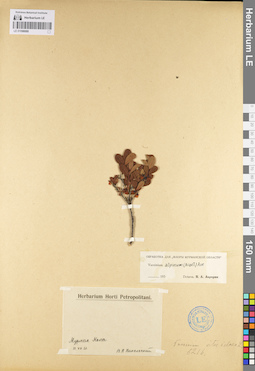 LE 01098088