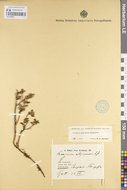 LE 01098097