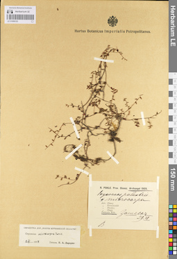 LE 01098103