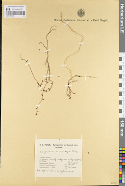 LE 01098106