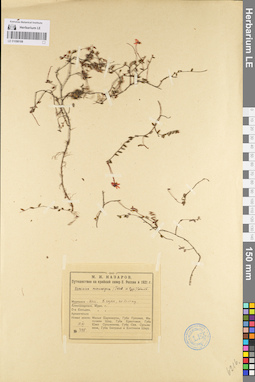 LE 01098108