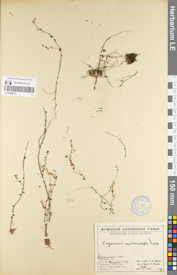LE 01098110