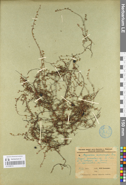 LE 01098114