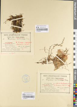 LE 01098116