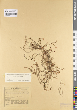 LE 01098118