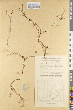 LE 01098122