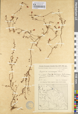 LE 01098123
