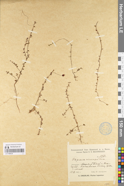 LE 01098124