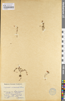 LE 01098125