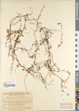 LE 01098127