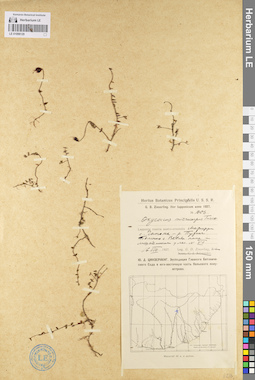LE 01098129