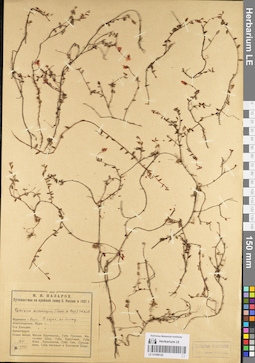 LE 01098132