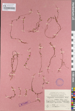 LE 01098134