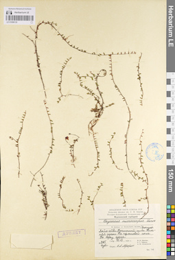 LE 01098135