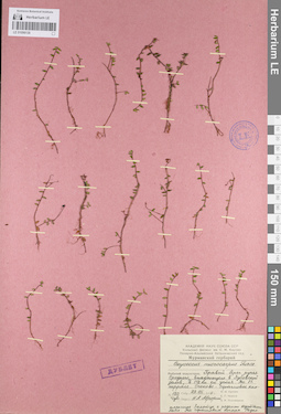 LE 01098138