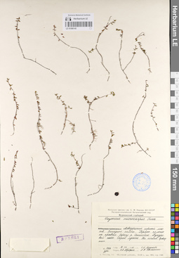 LE 01098145