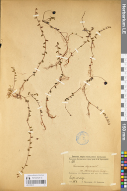 LE 01098147
