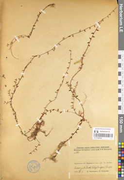 LE 01098148