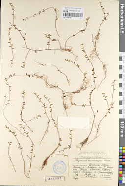 LE 01098150