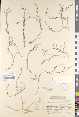 LE 01098151