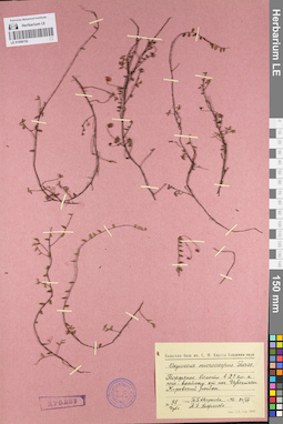 LE 01098152