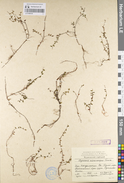 LE 01098155