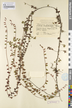 LE 01098255