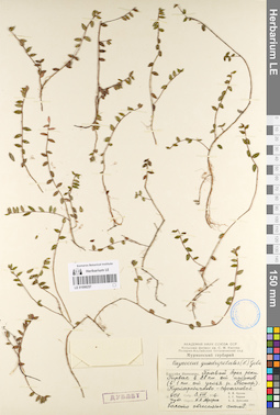 LE 01098257