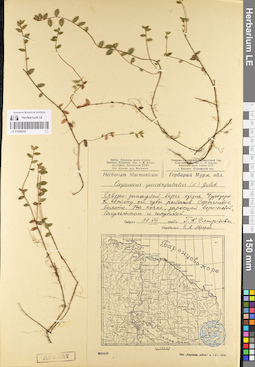 LE 01098259