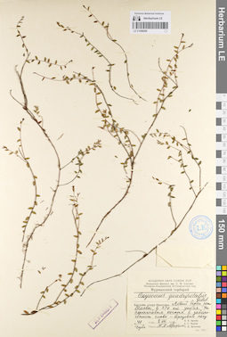 LE 01098260