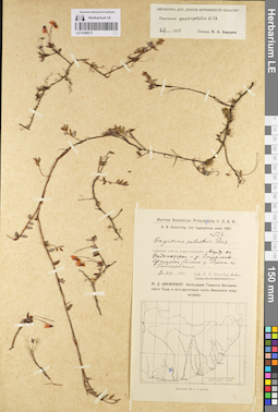 LE 01098273