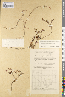 LE 01098274