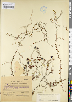 LE 01098277