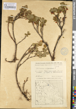 LE 01098295