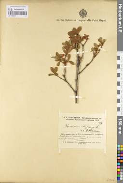 LE 01098297