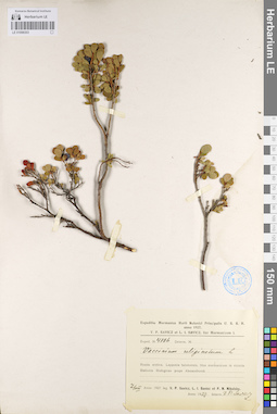 LE 01098303