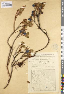 LE 01098317