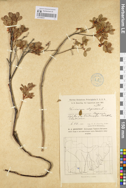 LE 01098321