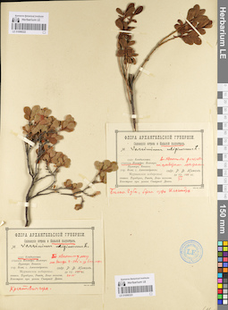 LE 01098323