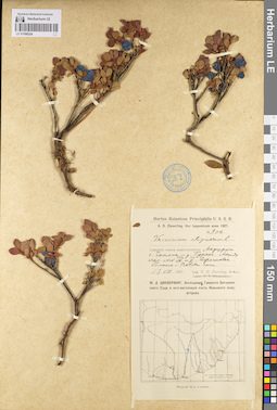 LE 01098324