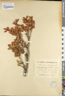 LE 01098342
