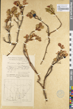 LE 01098344