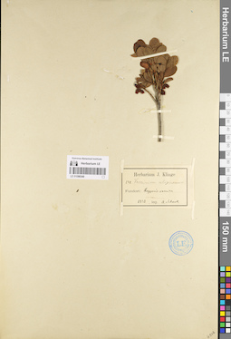LE 01098348